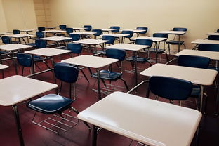 开云备用-校园体育活动对学生心理弹性的促进，学校体育对青少年心理方面的影响