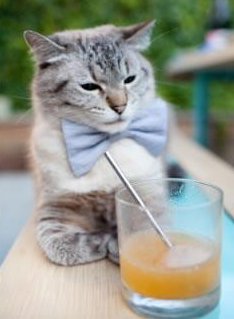 西班牙男队后程冲刺能力显著增强,西班牙男子组合