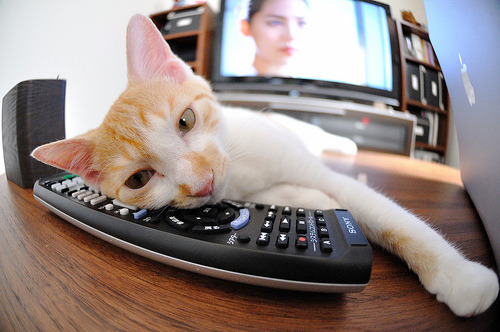 CBA球队引进先进恢复设备缩短球员伤病恢复周期，cba各队引援情况