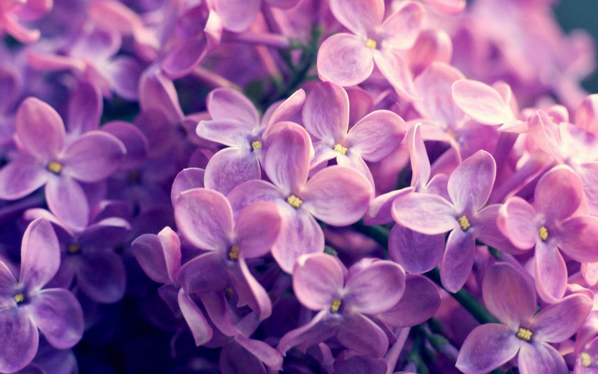 中国女篮强调球场阅读能力增强临场反应，我想了解中国女子篮球队
