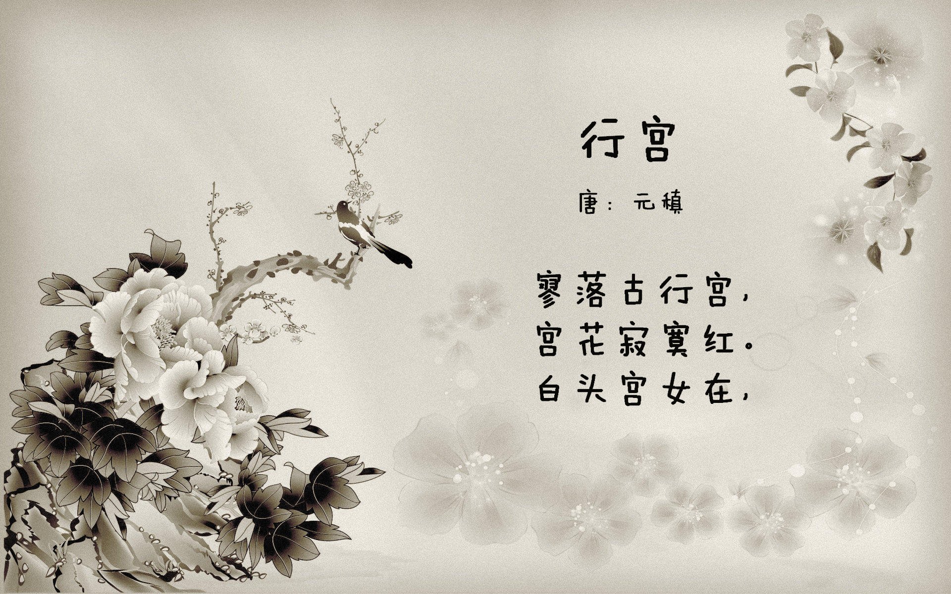 体育明星参与乡村振兴体育帮扶计划,体育在乡村振兴中发挥的作用