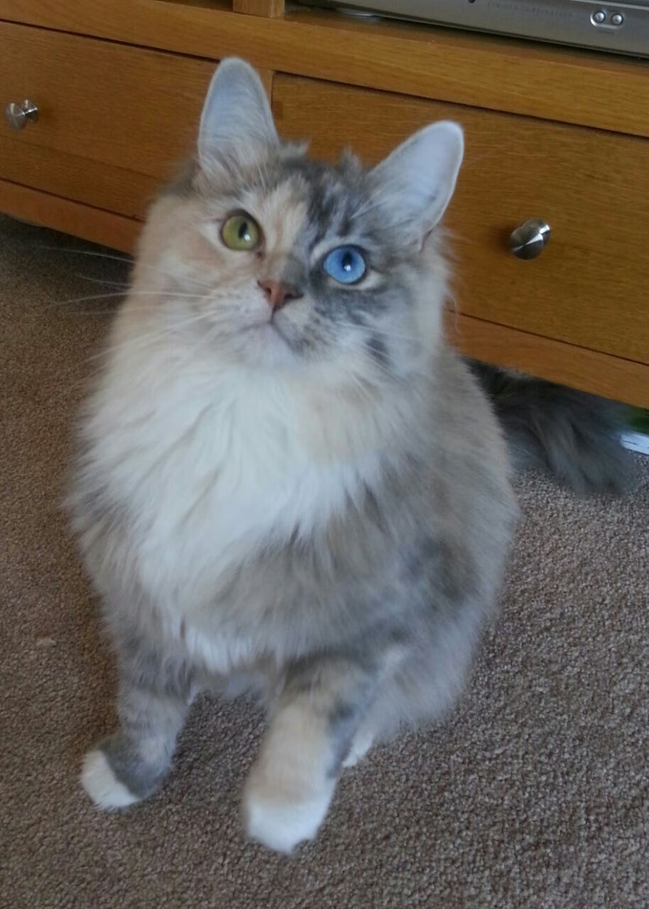 开云网页-波波维奇赛场表现引发媒体关注，波波维奇 胜场